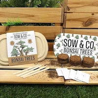 Biodegradable Growing Kits Image 1