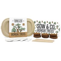 Biodegradable Growing Kits Image 2