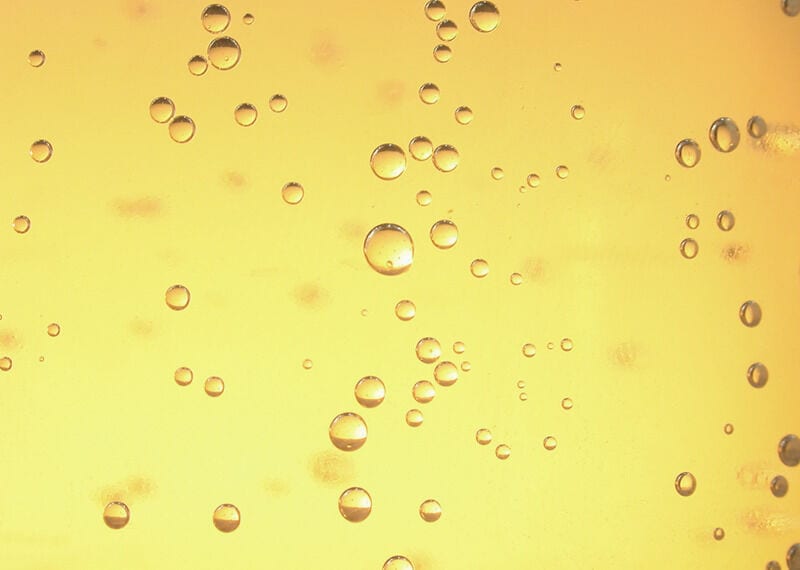 Upcycled Beer Beauty Ingredients