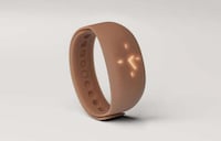 Empowering Anemia Wearables Image 6