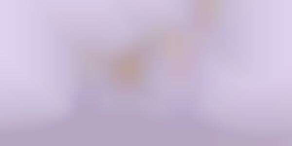 Multifaceted Bridal Beauty Services