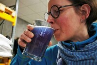 Algae-Tinted Blue Beers Image 3