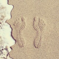 Elevated Comfort-Focused Sandals Image 8