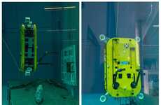 Autonomous Underwater Robots