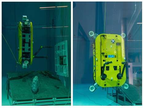 Autonomous Underwater Robots