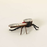 Educational Invasive Species Kits Image 3