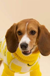 Printed Pet Sweaters Image 2