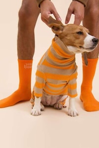 Printed Pet Sweaters Image 3