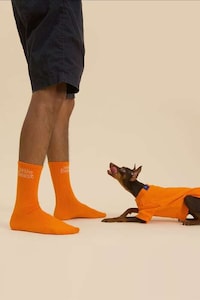 Printed Pet Sweaters Image 4