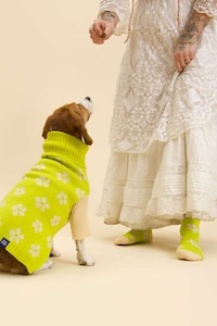 Printed Pet Sweaters Image 6