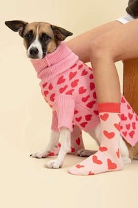 Printed Pet Sweaters Image 7