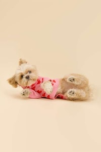 Printed Pet Sweaters Image 8