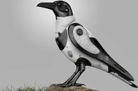 Crow-Shaped Drones Image 5