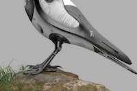 Crow-Shaped Drones Image 6