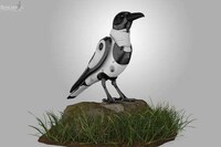 Crow-Shaped Drones Image 8