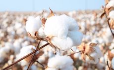 Oceanic Cotton Recycling Initatives Article Thubnail