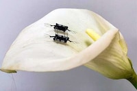 Bug-Like Flying Robots Image 1