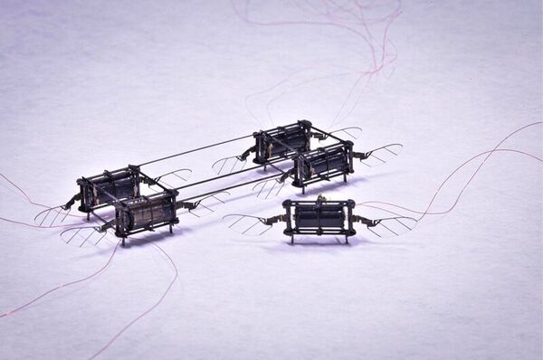 Bug-Like Flying Robots Image 2