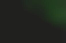 Sustainable Collaboration Sneaker Styles