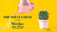 Prickly Ex-Partner Valentine's Gifts Image 1
