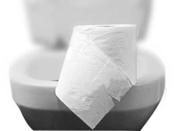 Optimized Bathroom Training Courses