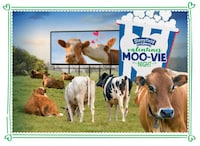 Cow-Themed Romantic Movies Image 1