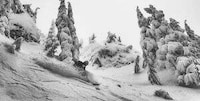 High-Performance Carbon Ski Boots Image 2