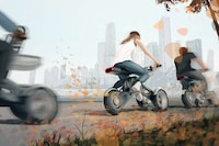 Customizable Electric Trikes