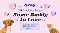 Livestream Adoption Campaigns Image 3