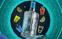 Party-Goer Tequila Packaging Image 1