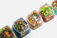 Miniature Terrarium Keycaps Image 7