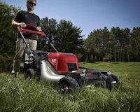 Low-Noise Emissions-Free Lawnmowers Image 1