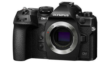 Wild Life Photography Cameras