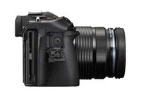 Wild Life Photography Cameras Image 2