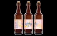Cocktail-Inspired Fruited Ales Image 1