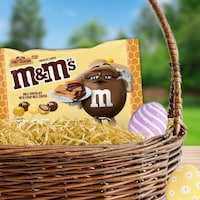 Graham Cracker-Flavored Candies Image 1