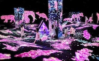 Virtual Sakura Exhibitions Image 1