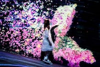 Virtual Sakura Exhibitions Image 3