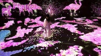 Virtual Sakura Exhibitions Image 4