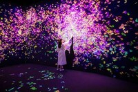 Virtual Sakura Exhibitions Image 5