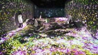 Virtual Sakura Exhibitions Image 6