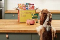 Meatless Dog Meals