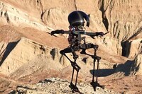 Hybrid Movement Robots
