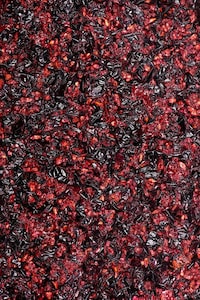 Grape-Made Vegan Leather Jackets Image 4