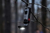 Flexible Orientation Camper Flashlights Image 2