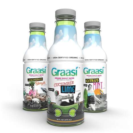 Functional Barley Beverages