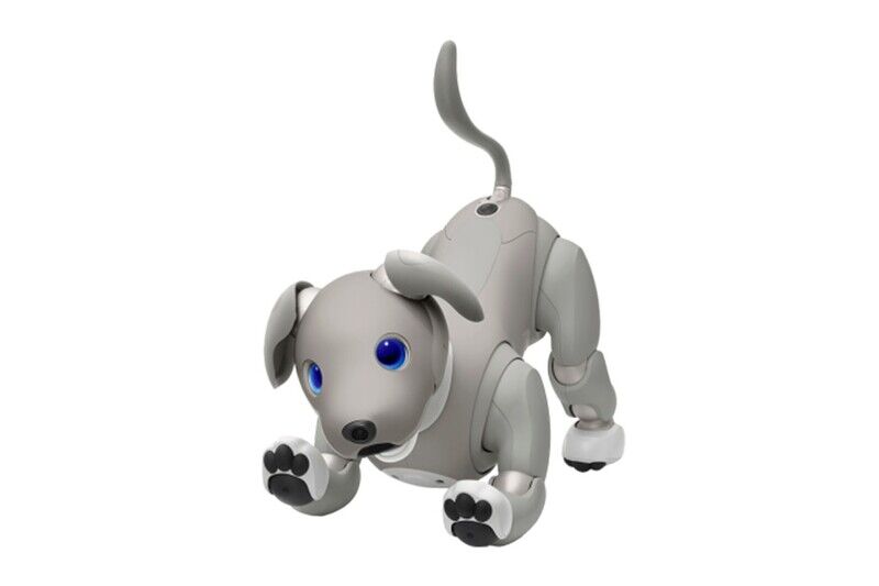 Aibo ‘Black Sesame’ | Perro robot con inteligencia artificial