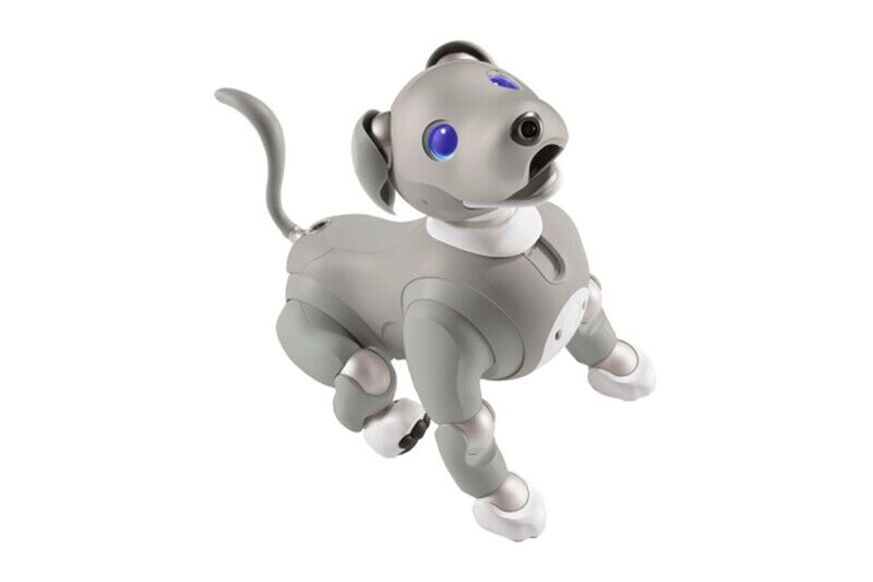 Sony presenta una edición limitada del perro robot Aibo 'Black Sesame'