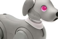 AI-Powered Robot Dogs Image 7