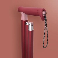 Stylish Senior Lifestyle Products Image 3